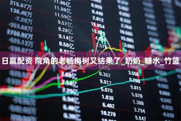 日赢配资 院角的老杨梅树又结果了_奶奶_糖水_竹篮