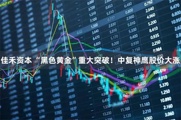 佳禾资本 “黑色黄金”重大突破！中复神鹰股价大涨