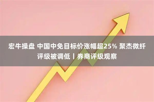 宏牛操盘 中国中免目标价涨幅超25% 聚杰微纤评级被调低丨券商评级观察